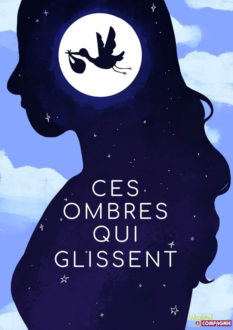 Affiche du spectacle 'Ces ombres qui glissent'